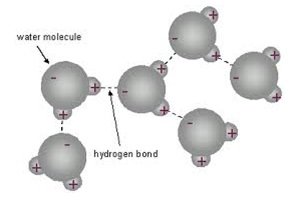 structure of water